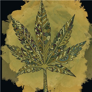 CannaCarve Collection: Rolling Artistry